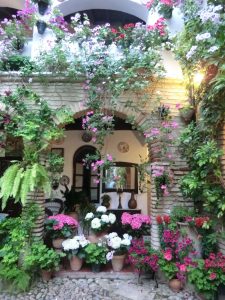 Córdoba, Festival de patios, schönste Innenhöfe, Blumenschmuck